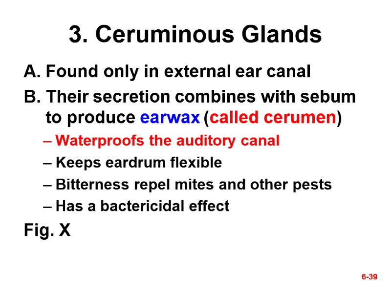 6-39 6-39 3. Ceruminous Glands Found only in external ear canal Their secretion combines